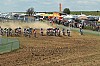 photo_3463.jpg