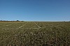 photo_0095.jpg