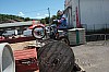 photo_339.jpg